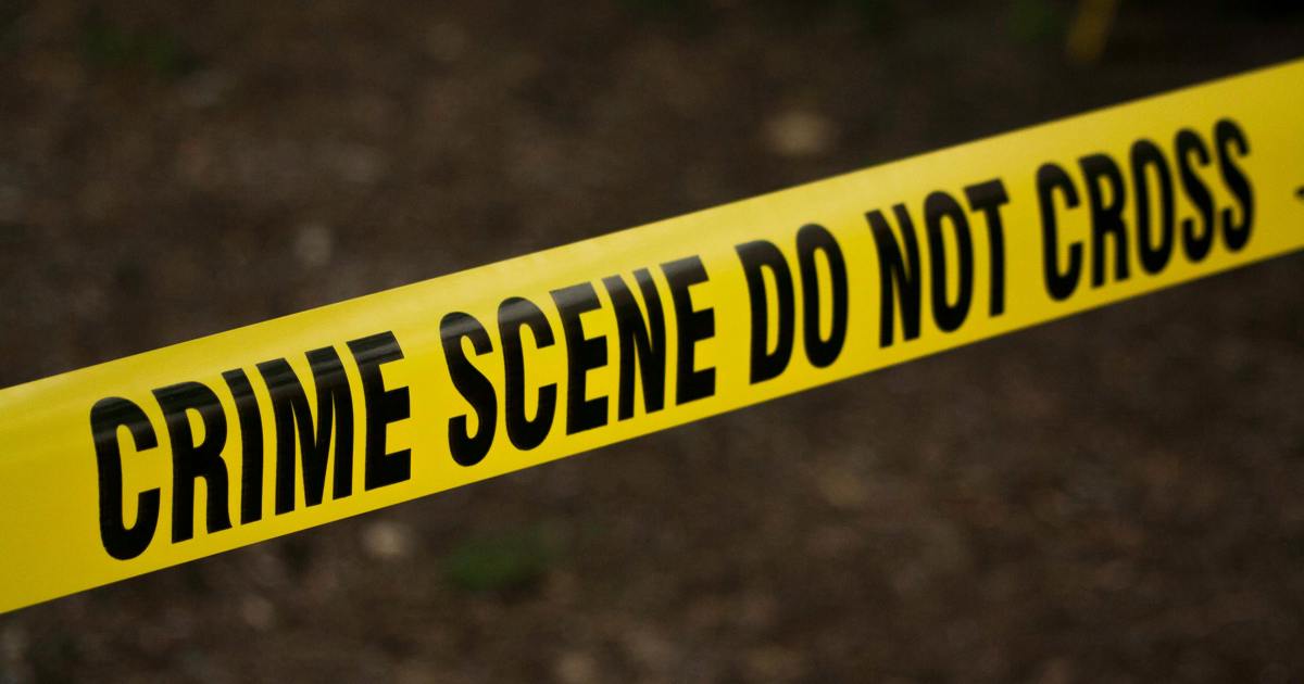 Ntuli loue la réponse de son conseil exécutif provincial aux combats au crime au KwaZulu-Natal