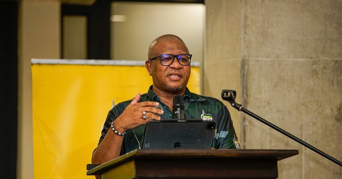 SA et les États-Unis doivent trouver un moyen de résoudre les différences, explique Mbalula de l'ANC