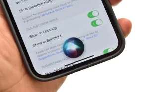 New Delhi India July : Siri On Iphone
