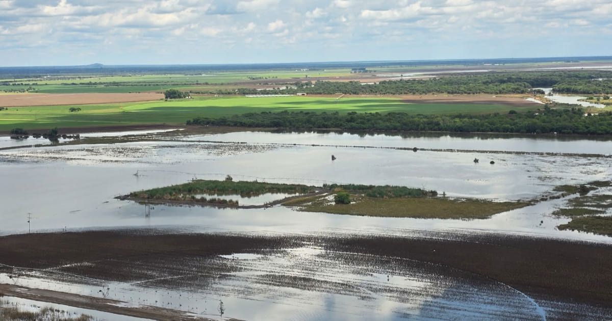 Steenhuisen appelant à l'état de catastrophe à Limpopo après les inondations