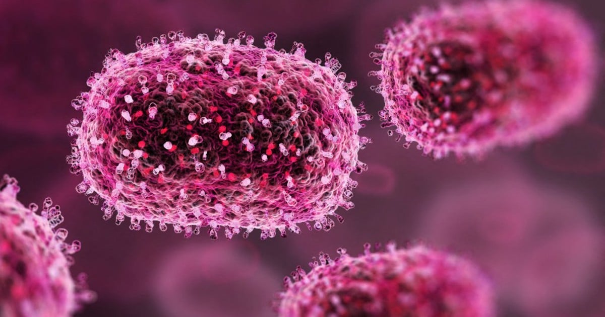 Trois nouveaux patients atteints de MPOX se rétablissant à la maison