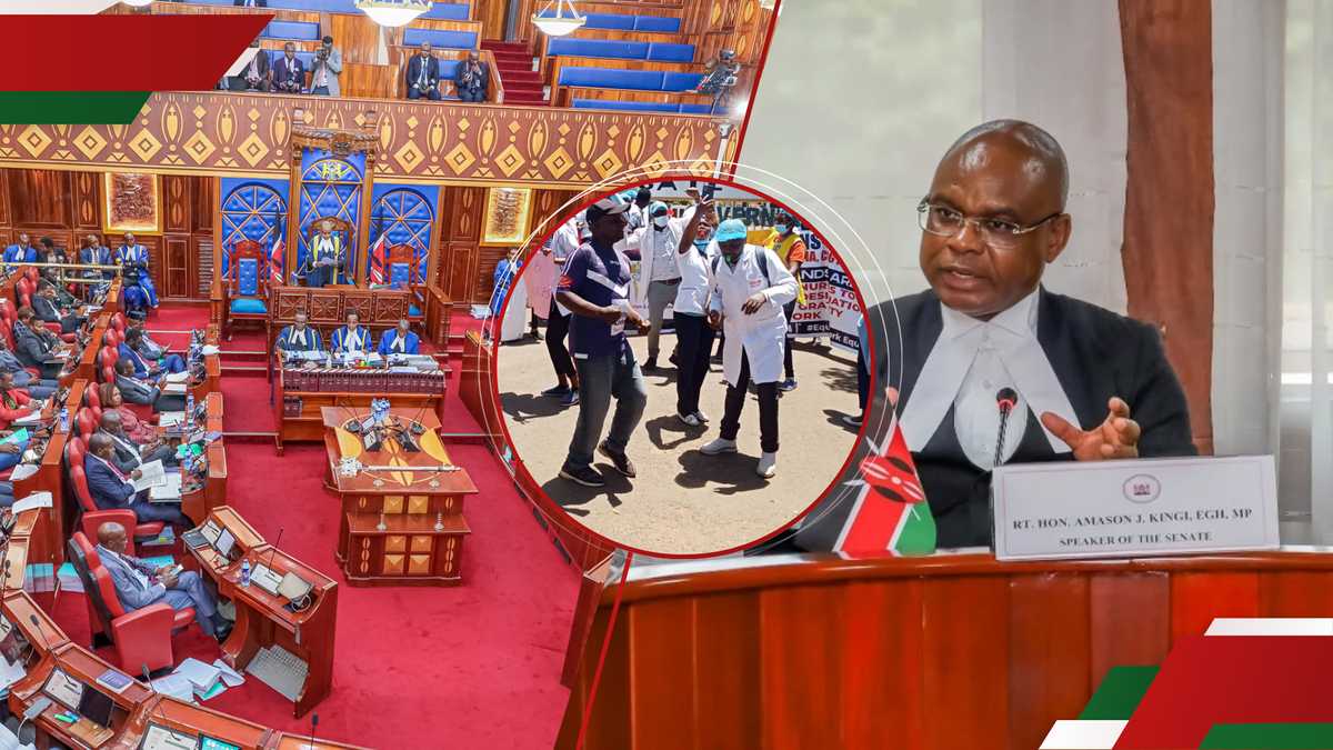 VIDÉO: Protestant des Kenyans perturbe la procédure du Sénat avec Loud Kasongo