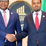 Zimbabwe, Ethiopia enhance economic cooperation with strategic partnership