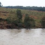 Certains propriétaires d'entreprise opérant le long de la rivière Vaal disent que les inondations ont dévasté les moyens de subsistance
