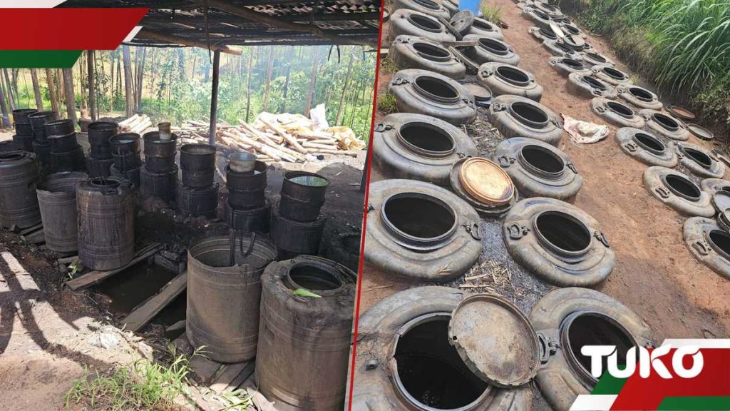 Kisii: 5 arrêtés dans un raid dirigé par Nacada qui a découvert un grand syndicat illicite illicite