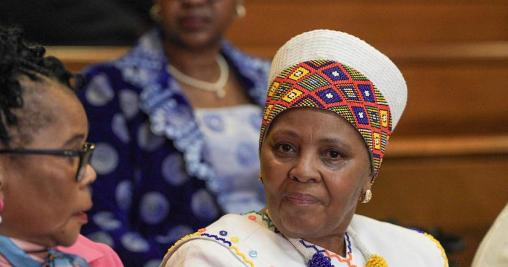 Les avocats de Mapisa-Nqakula font un coup dans l'État