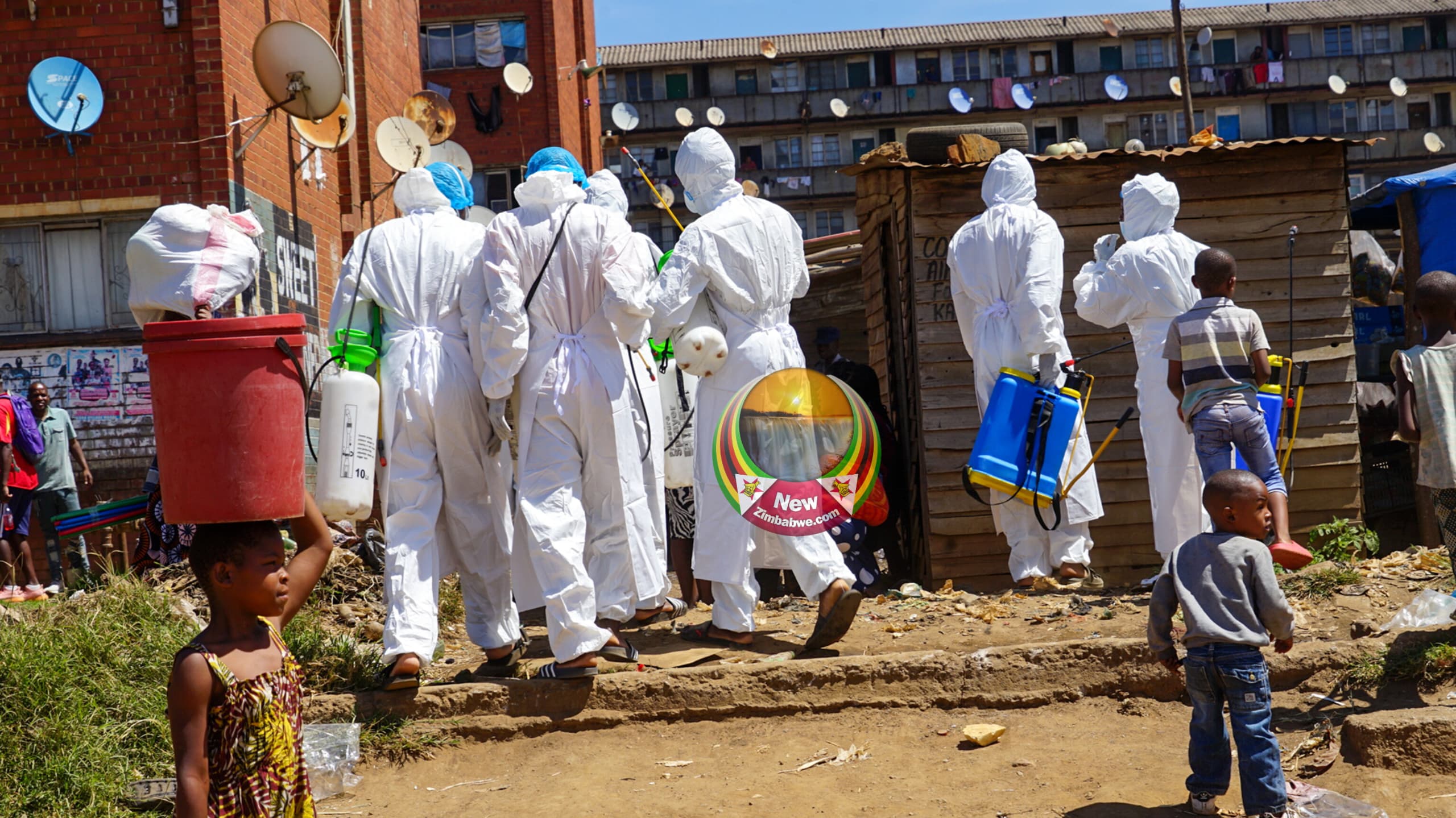 Bed bugs appear resistant to insecticides, as fears are raised outbreak will spread to other areas