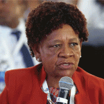 Mnangagwa appoints new Environment Minister