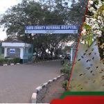 Siaya: Un agent de l'agriculture à la retraite décède après avoir été piqué par des abeilles dans sa ferme