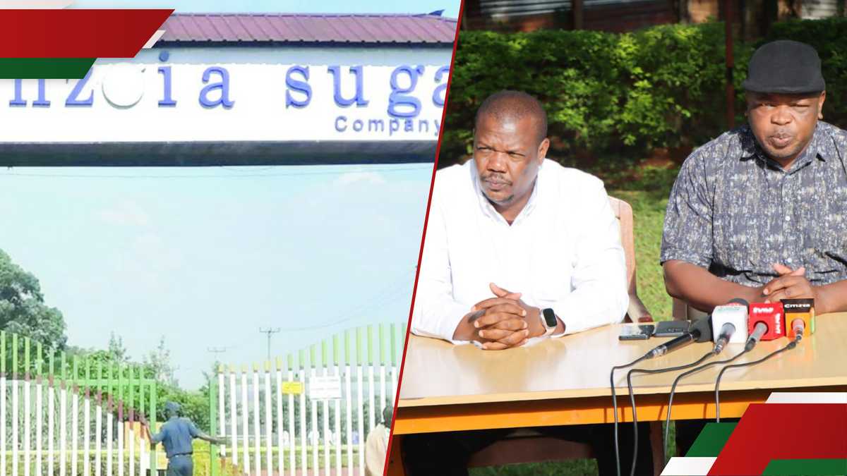 Bungoma MPS puise la pression sur William Ruto pour révoquer le bail de l'usine de sucre nzoia de Jaswant Rai