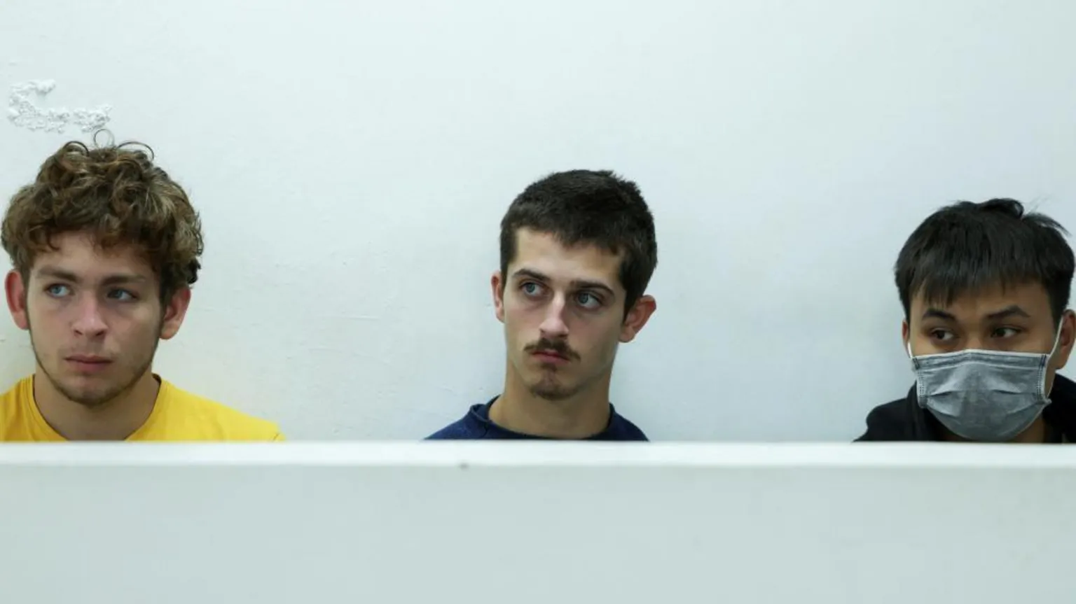 International gang sentenced for smuggling thousands of ants in Kenya