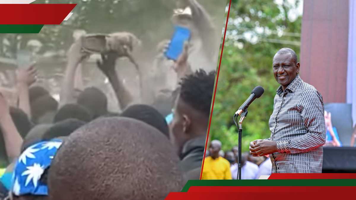 Migori: de nouvelles surfaces vidéo montrant une chaussure lancée sur William Ruto étaient accidentelles