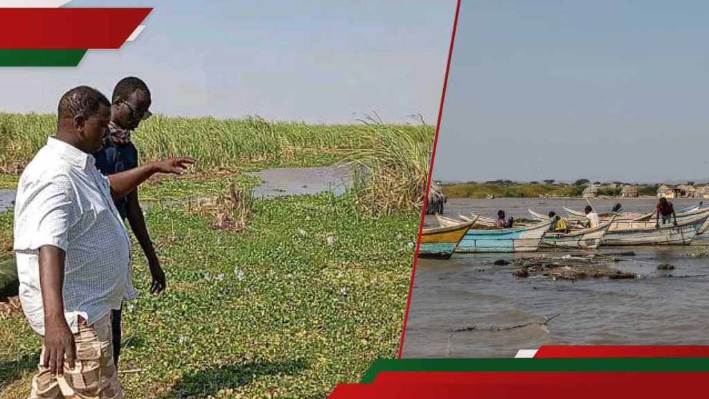 Turkana: 4 pêcheurs tués par un mérile éthiopien présumé