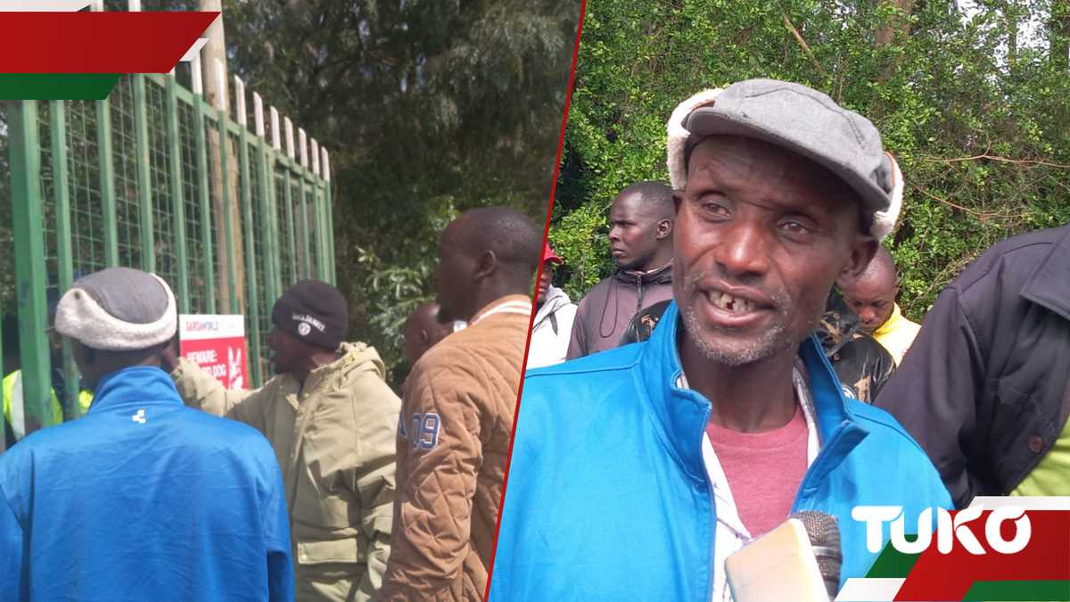 Uasin Gishu Farmers Protest Protest Shif in Carbon Credit Contrat, Introduction de clauses douteuses