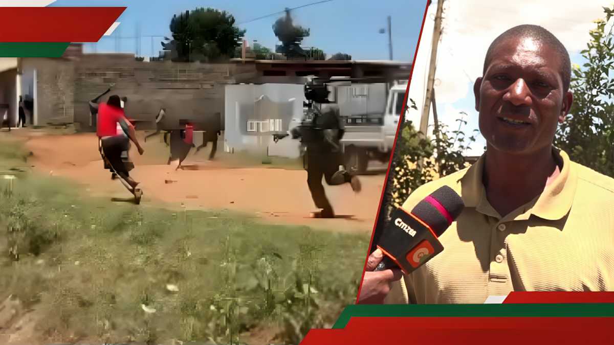 Uasin Gishu: Le mystère s'approfondit à Kipkaren alors que les jeunes disparaissent après les démos, 1