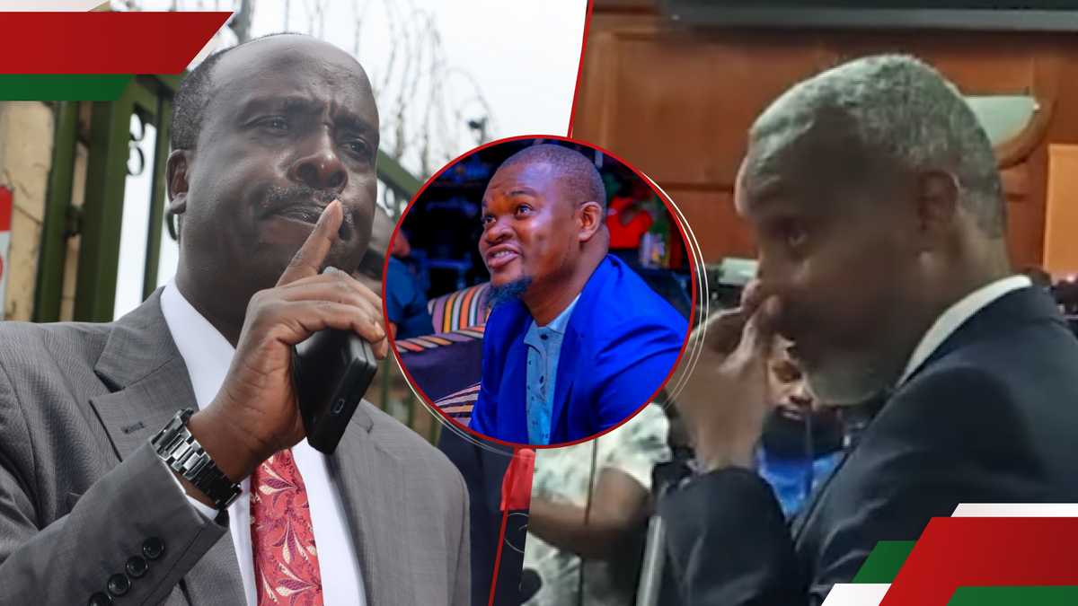 Albert Ojwang: Échange de tendance alors que Danstan Omari grillade l'officier IPOA en cour