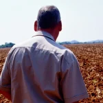 Deal or no deal? Zimbabwe still divided over land 25 years after white farmers evicted