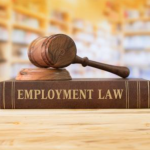 Legal Discussions with Vengai Madzima: Labour and Employment Law in Zimbabwe