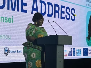 PDG de l'agence des entreprises du Ghana Gea Margaret ANSEI