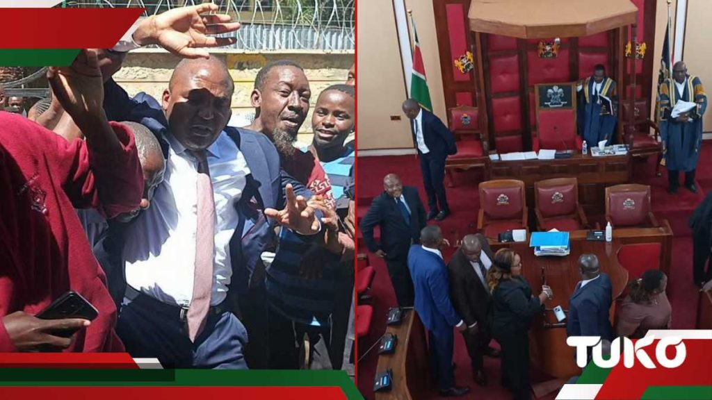 Le conférencier de l'Assemblée du comté de Machakos suspend 9 MCAS après une violente confrontation