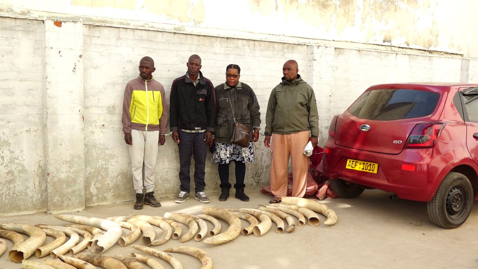 Detectives arrest quartet found in possession of 41 pieces of ivory