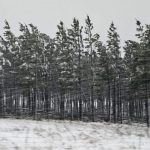 Les équipes de gestion des catastrophes KZN travaillant à «minimiser les perturbations» causées par des intempéries
