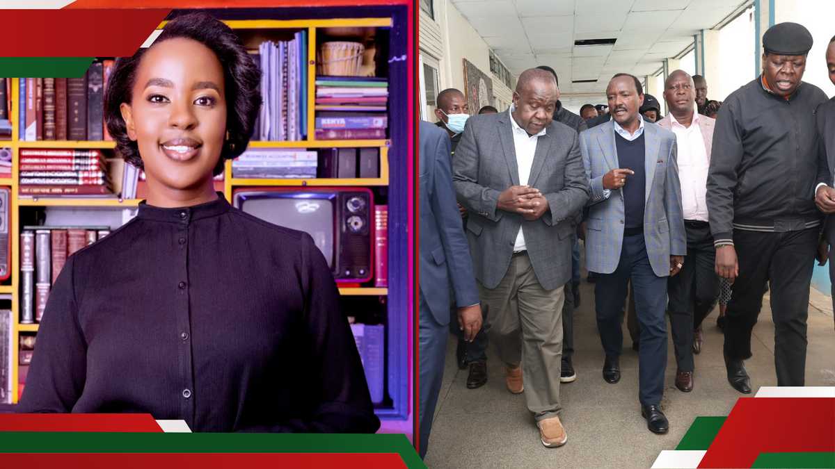 Lilian Nganga Slams Kalonzo Musyoka, Matiang'i pour avoir visité des manifestants blessés: «Rien de nouveau»
