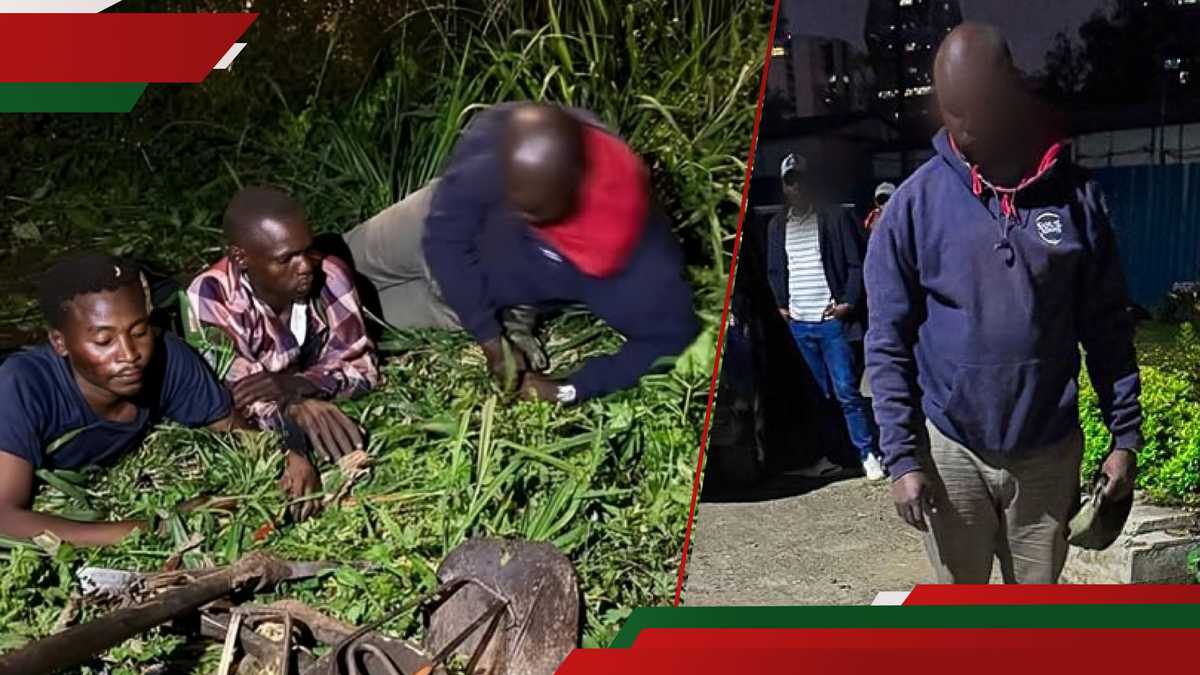 NAIROBI: Un policier parmi 3 a été arrêté pour avoir vandalisé l'équipement KPLC le long de Mombasa Road
