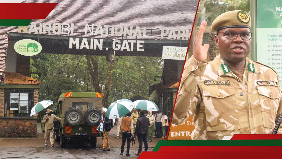 Parc national de Nairobi: KWS investit Ksh 170m dans la refonte des infrastructures pour stimuler l'accès, conservation