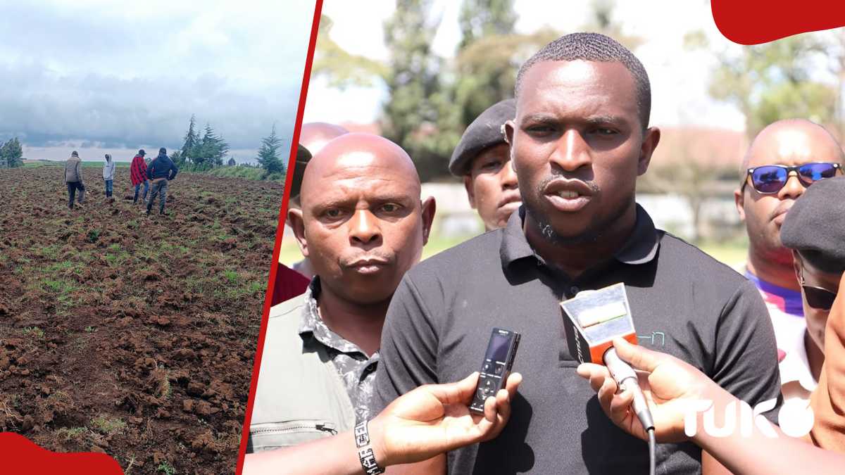 Les journalistes de Nakuru s'aventurent dans l'agriculture de pommes de terre dans le but de s'autonomiser financièrement