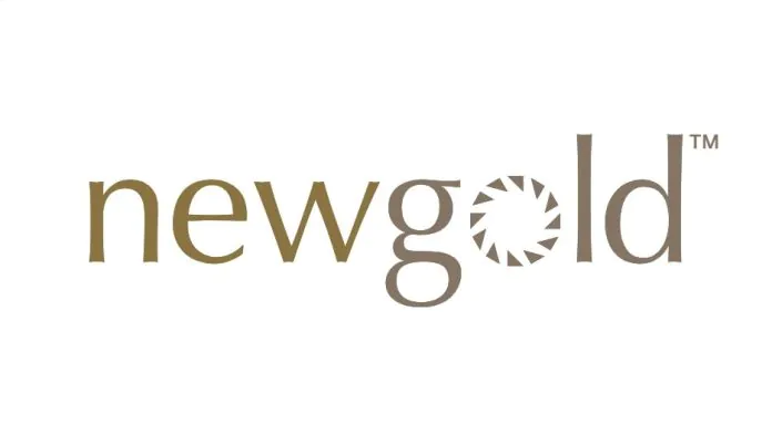 New Gold Inc