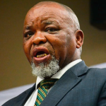 Ramaphosa appoints Gwede Mantashe as acting police minister