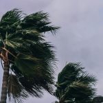 Saws émet un avertissement jaune niveau 2 pour endommager les vents, les vagues le long des parties de la côte orientale
