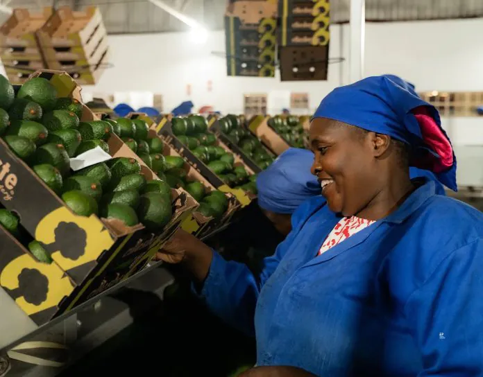 Systèmes alimentaires africains