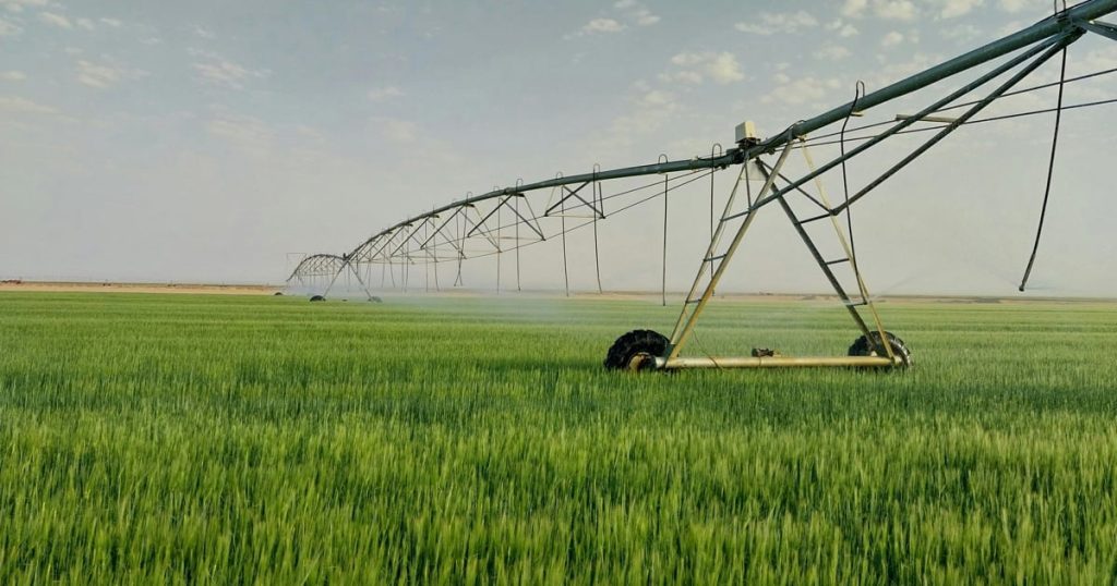 WC Mobility Dept lance le projet visant à relancer le fret ferroviaire le long du corridor agricole clé