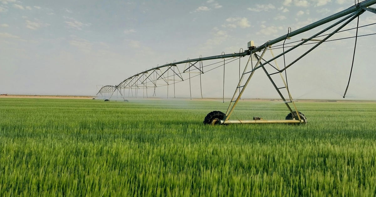 WC Mobility Dept lance le projet visant à relancer le fret ferroviaire le long du corridor agricole clé