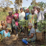 33 million women grow food on plots in sub-Saharan Africa. Greener farming can boost their earnings – study