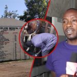 À l'intérieur de la ferme de Nakuru où les vaches sont lavées avec du savon pour augmenter la production de biogaz
