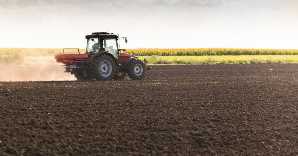 Certains agriculteurs de Gauteng appellent à un jeu mondial plus équitable dans le secteur de l'agriculture