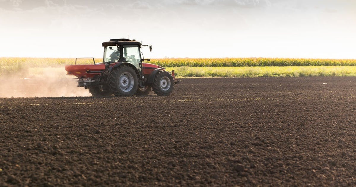 Certains agriculteurs de Gauteng appellent à un jeu mondial plus équitable dans le secteur de l'agriculture