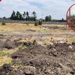 Kangundo: Trounds et tourne devant le tribunal alors que les squatters se battent pour garder les terres qu'ils ont occupées pendant 17 ans
