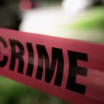 Mental patient runs amok, kills aunt and torches her corpse