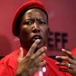 Malema’s call for Zimbabweans in SA to seek jobs in their country signals policy shift – analyst