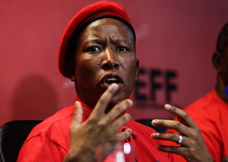 Malema’s call for Zimbabweans in SA to seek jobs in their country signals policy shift – analyst