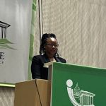 Le maire de Tshwane, le directeur de la ville pourrait faire face à une peine de prison s'ils ne fournissent pas de services sur le marché des produits frais de Tshwane