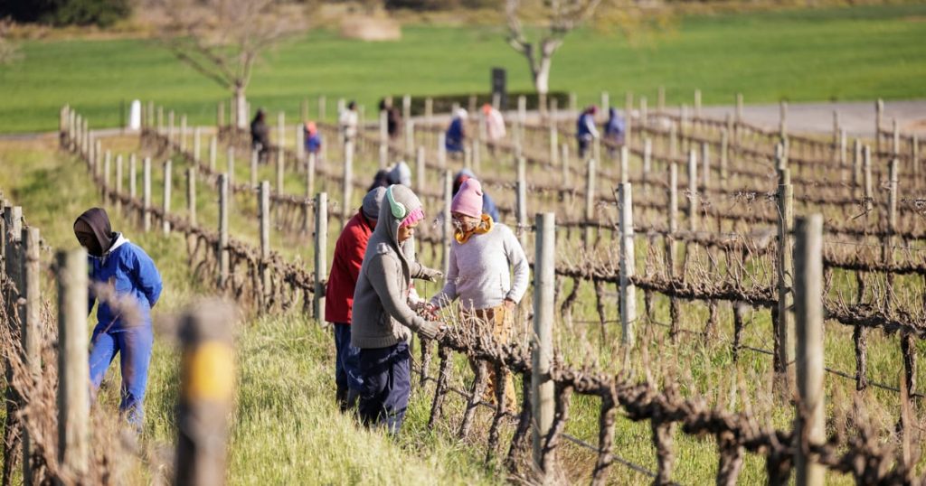 Les agriculteurs sud-africains en première ligne des randonnées tarifaires américaines