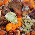 Les déchets alimentaires devraient être un crime