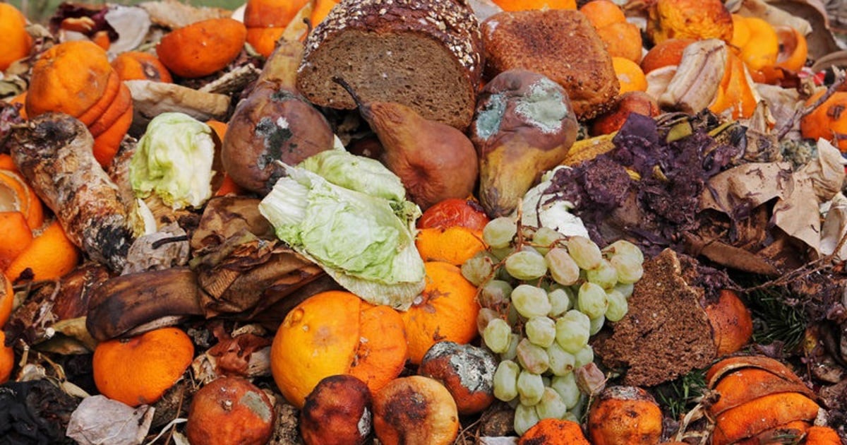 Les déchets alimentaires devraient être un crime