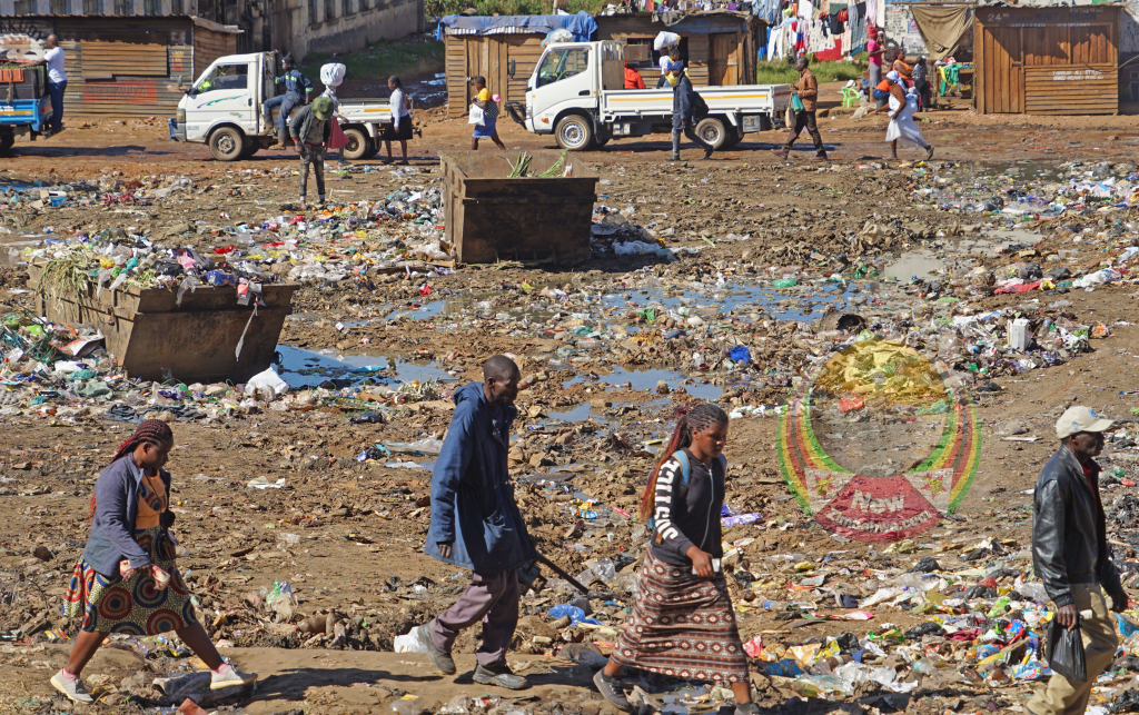 Mnangagwa miffed by deplorable state of Mbare, orders end to littering