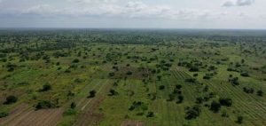 Terres agricoles